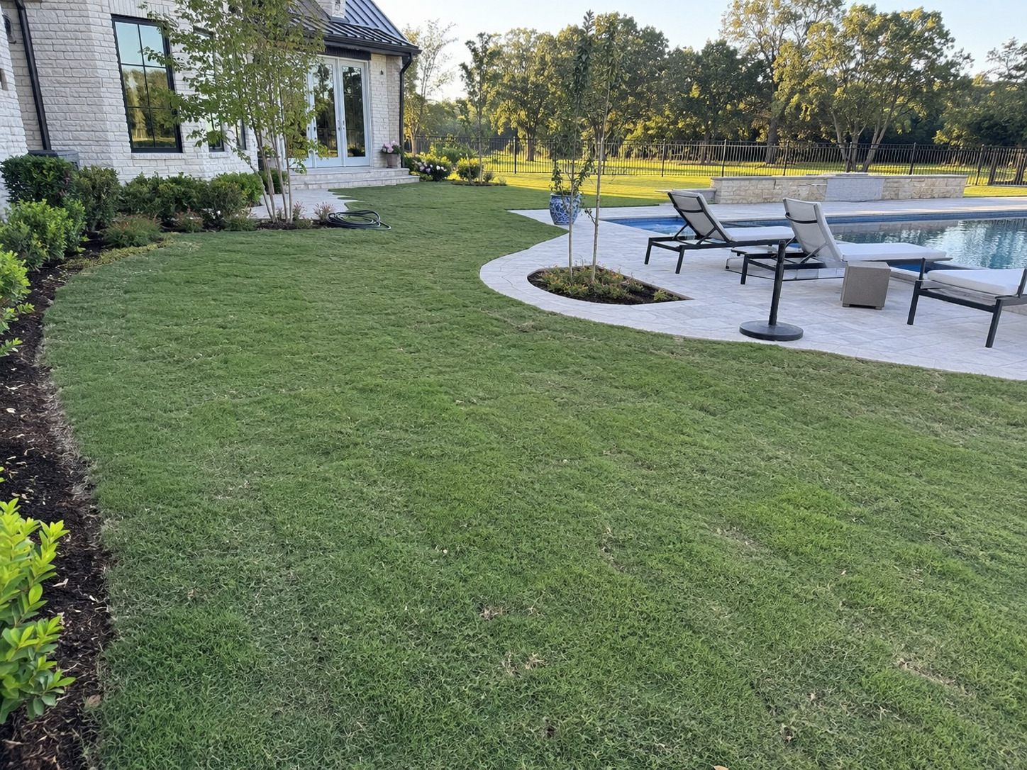 Green sod lawn beside a backyard pool and patio